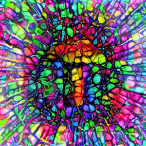 Colorful Mushroom